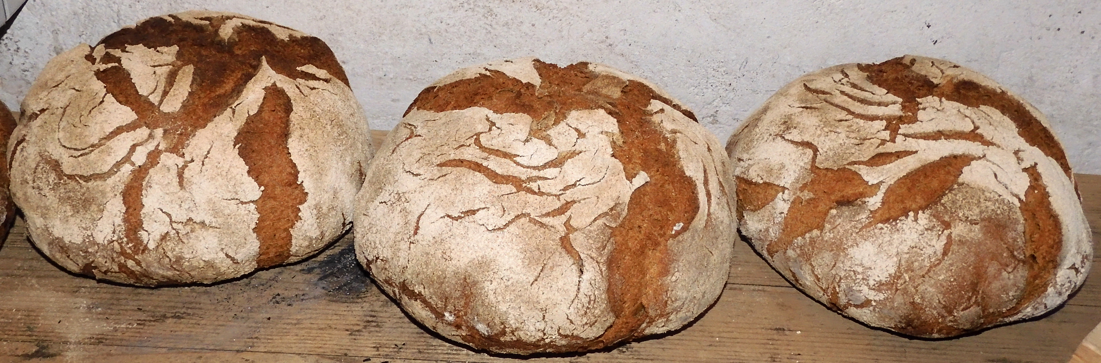 Mischbrote des ersten Backtages